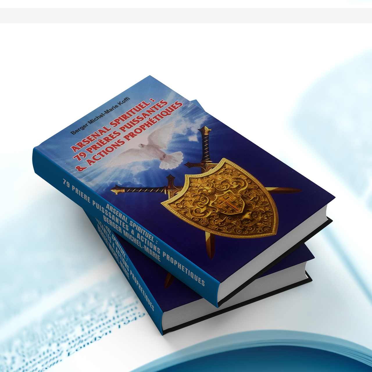 BOOK - Copie (2)